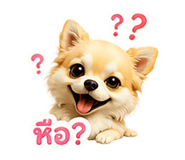 858499640