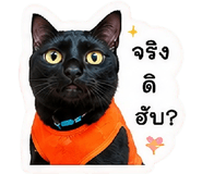 858500249