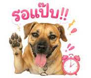 858500833