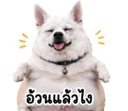 858501382