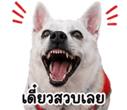 858501386