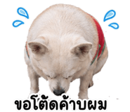 858501390