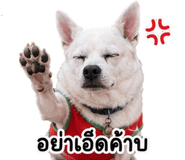 858501391