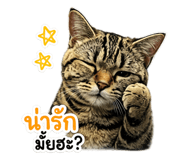 858504338