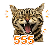 858504343