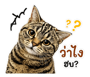 858504351