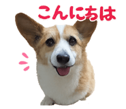 858510667