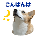 858510668