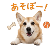 858510898