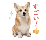 858510902