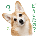 858510948