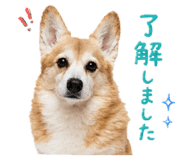 858510950