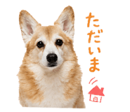 858510952