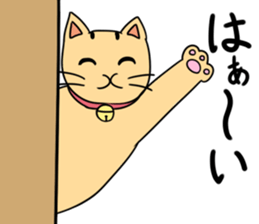 8585194