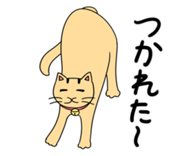8585202
