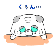 858520987