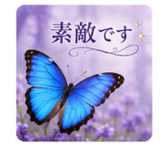 858521516