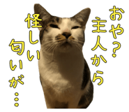 858522819