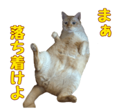 858522821