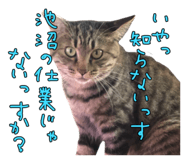 858522822