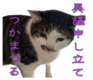 858522825