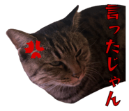 858522827