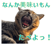 858522829