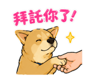 858533668