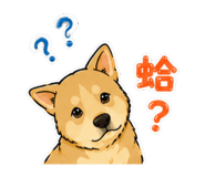 858533684