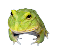 858536007