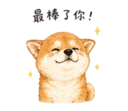858537884