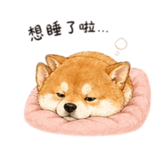 858537886