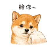 858537896