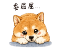 858537897