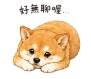 858537899