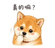 858537904