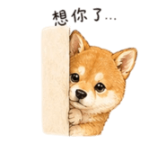 858537908