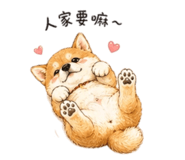 858537909