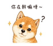 858537911