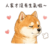 858537920