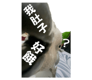 858537958