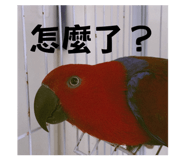 858537960
