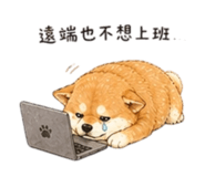 858538133