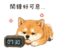 858538135