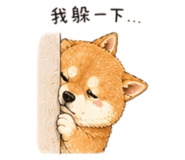 858538141