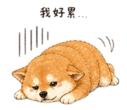 858538148