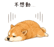 858538150