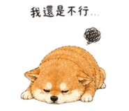 858538157