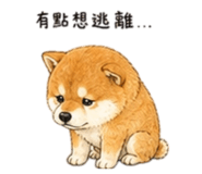 858538163