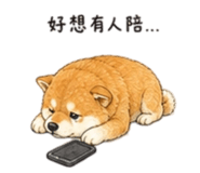 858538166
